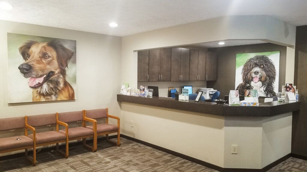 about us Schaefer Dental Group Okemos Interior view